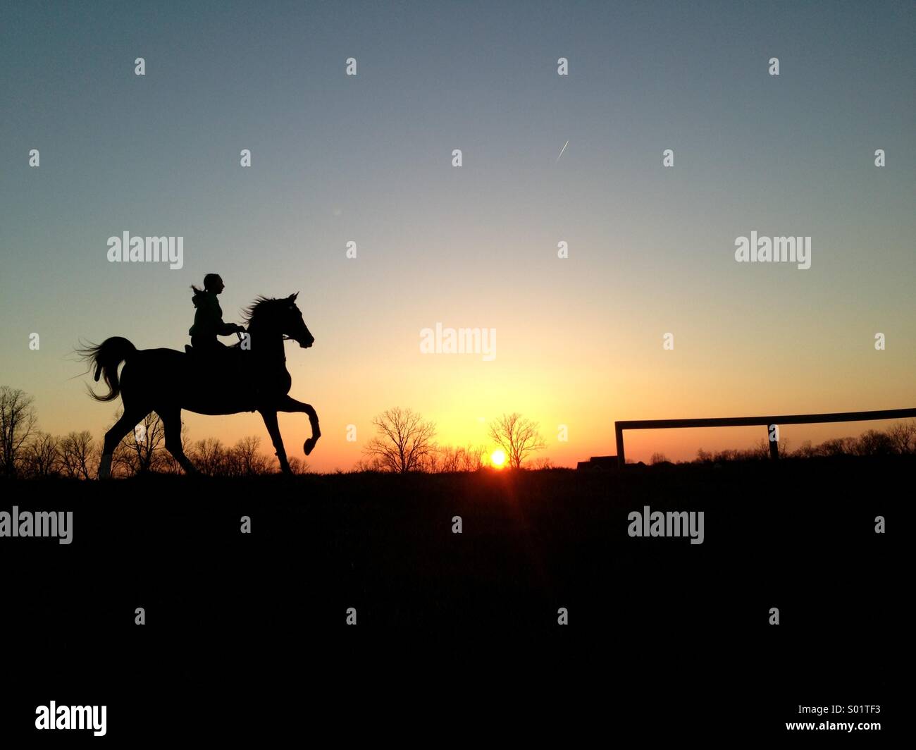 Girl riding saddlebred cheval au coucher du soleil Banque D'Images