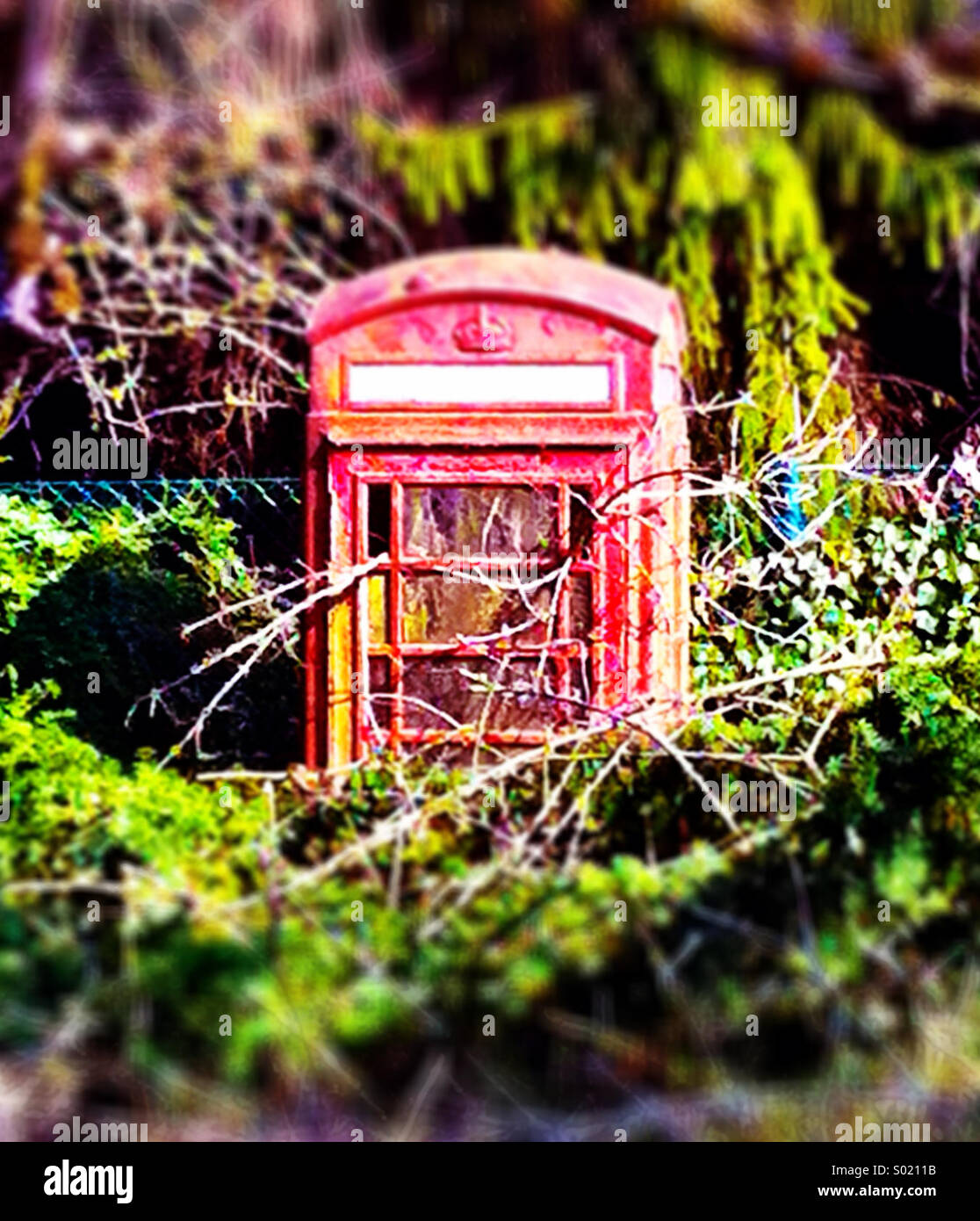 La vieille cabine téléphonique, aujourd'hui abandonné et envahi par - Image de stock capturée avec un smartphone