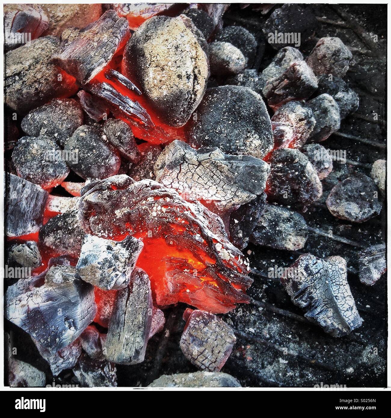 Le charbon de bois brûlant dans un grill - Image de stock capturée avec un smartphone