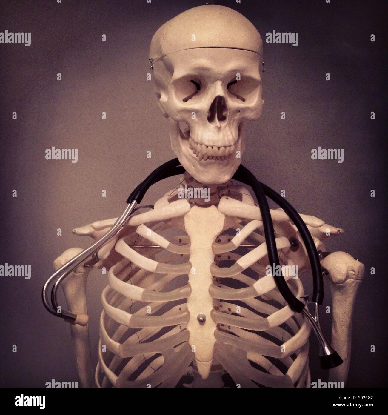 Dr. skeleton Banque D'Images