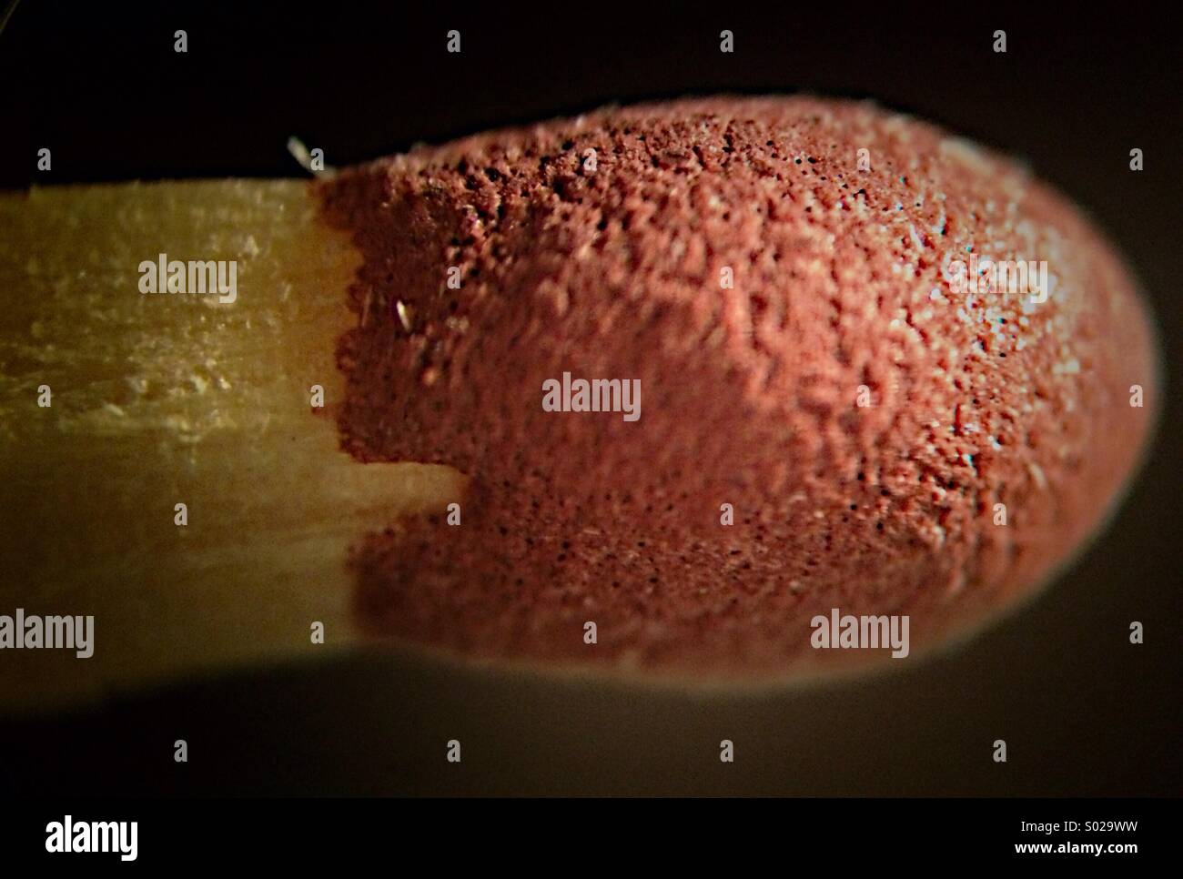 Image saisissante - Brown match tête en close-up Banque D'Images