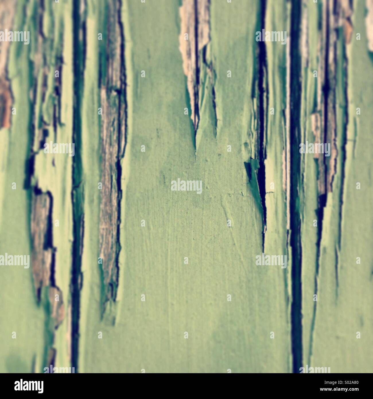Peeling Peinture Ancienne Vert Pâle Texture Sur Bois Banque Dimages
