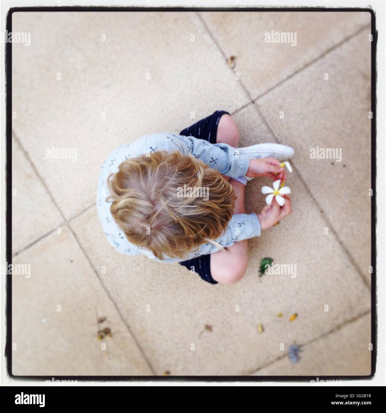 Garçon avec fleur. Banque D'Images