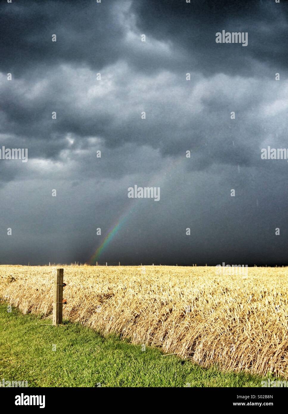 Arc-en-ciel sur un champ d'orge avec ciel d'orage et de la pluie Banque D'Images