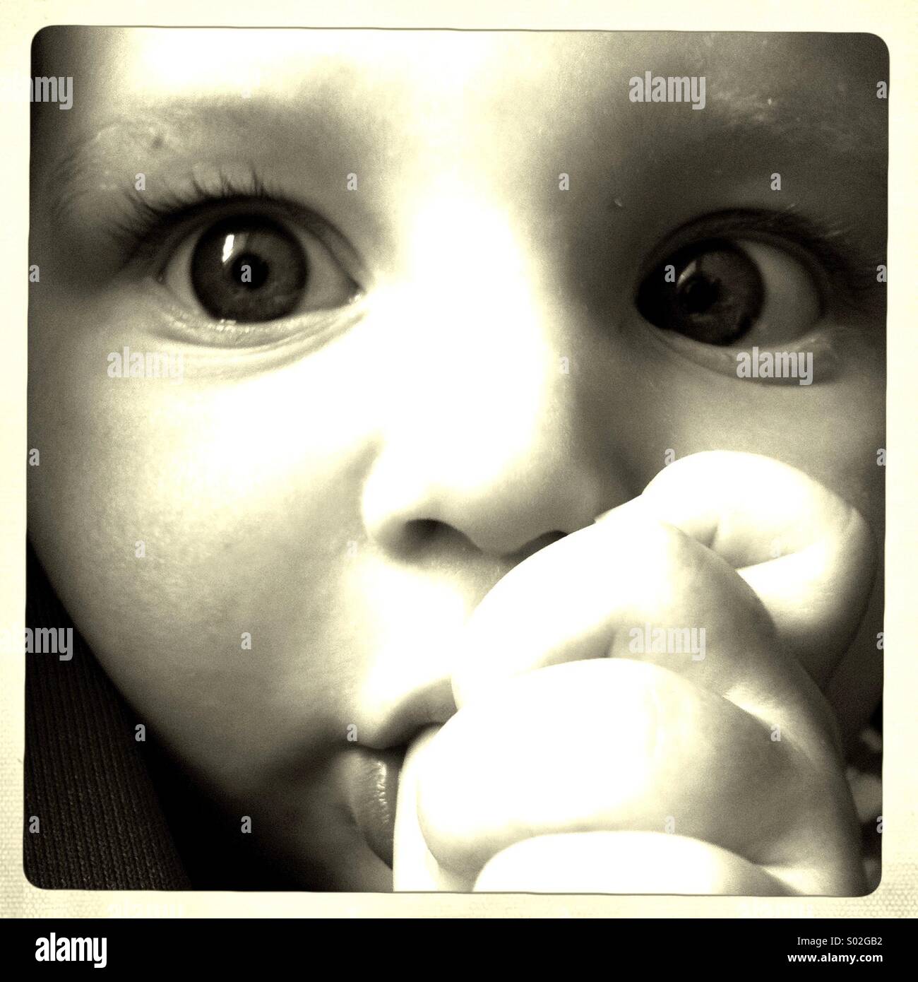 Gros Nez Bebe Banque D Image Et Photos Alamy