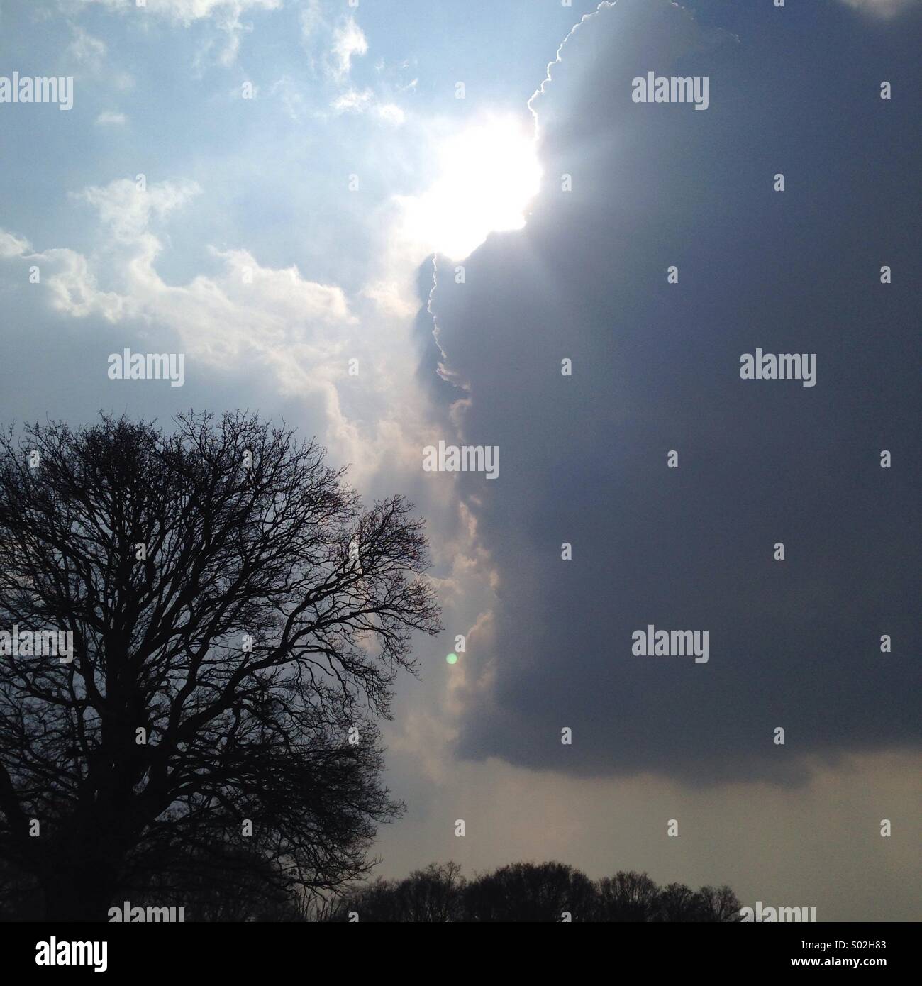 Tempête automne nuages soleil et la foudre au-dessus de divertissement Arbre de chêne à Richmond Park dans le Surrey. Banque D'Images