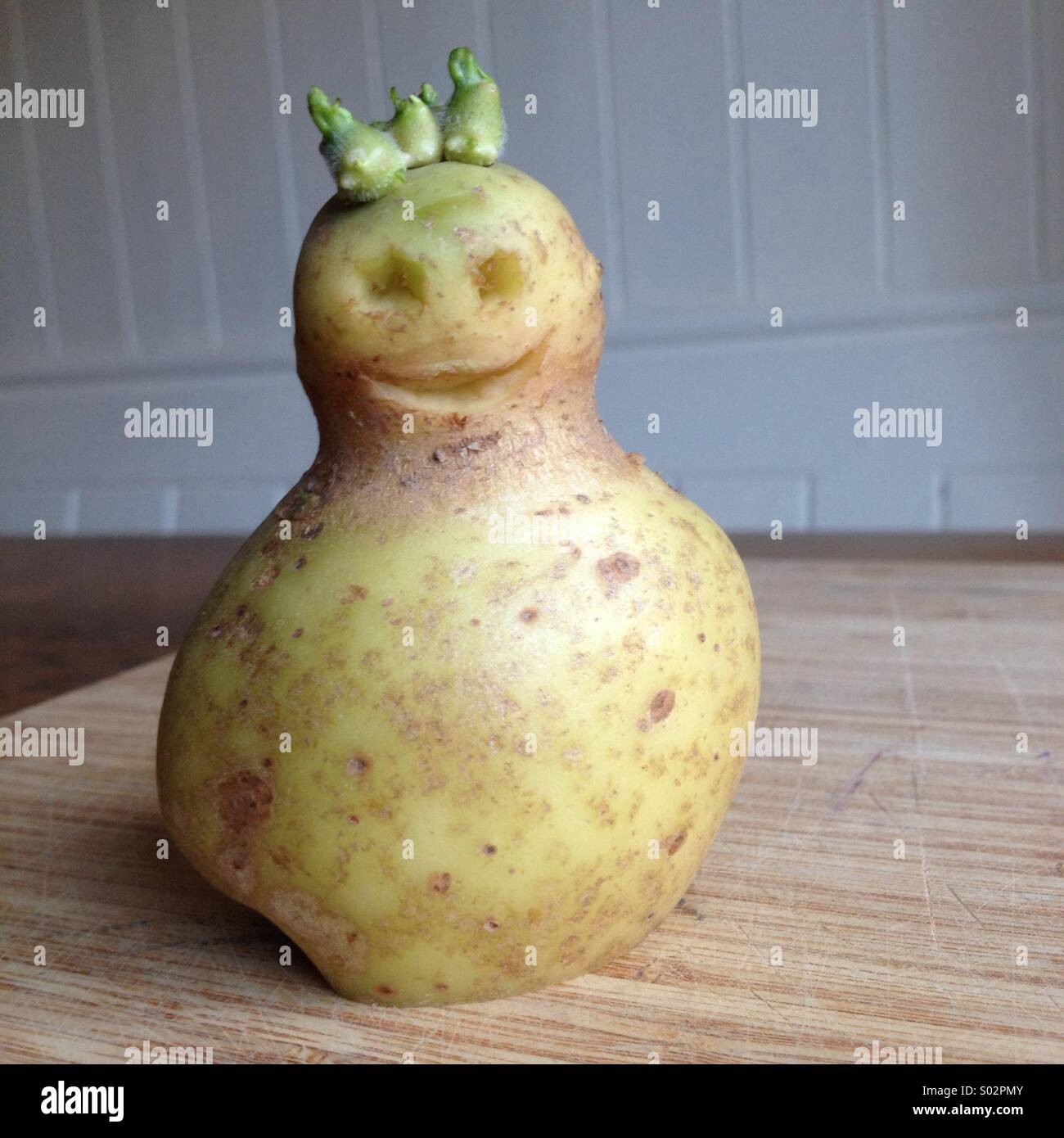 Une pomme de terre de la forme d'un torse humain et responsable. Banque D'Images