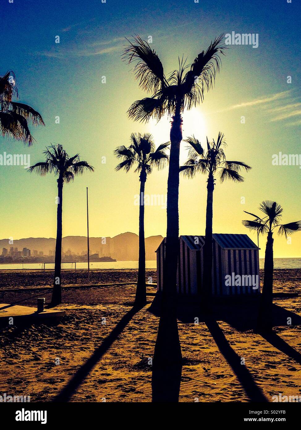 Palmiers et cabines de plage à rayures sur la plage au lever du soleil Banque D'Images