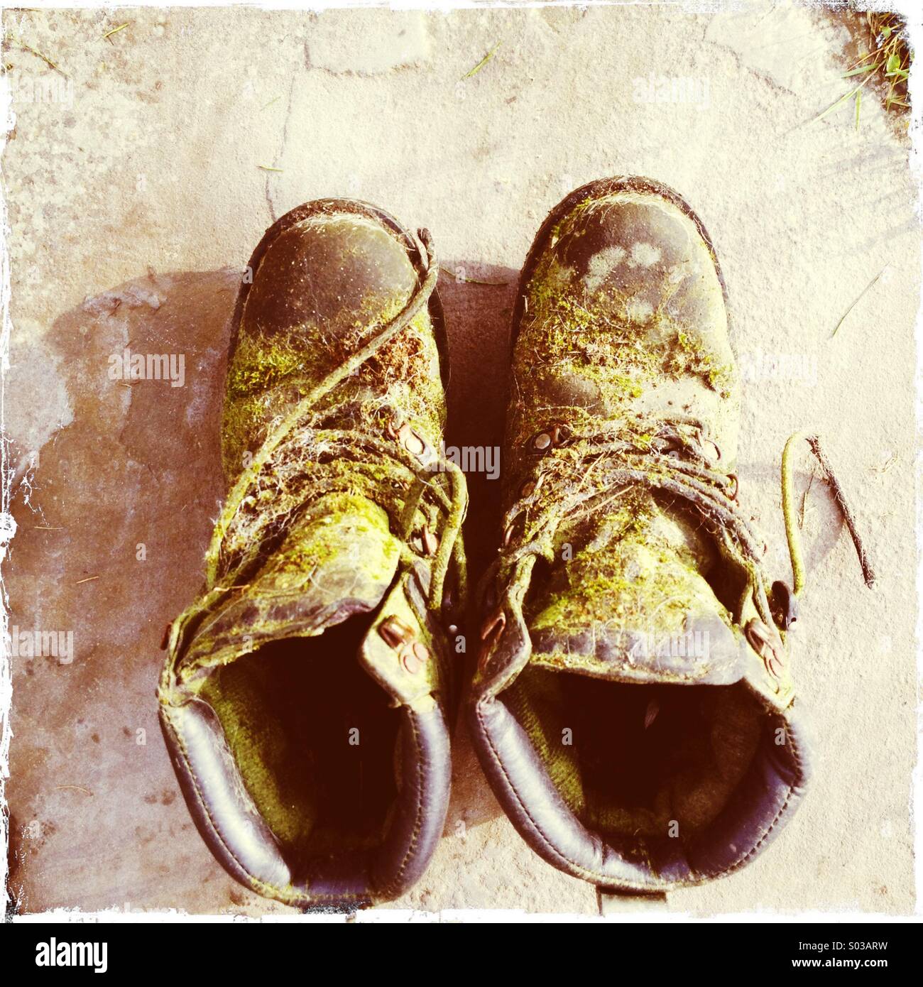 Vieux pourris et mousse recouverte de moule boots Photo Stock - Alamy