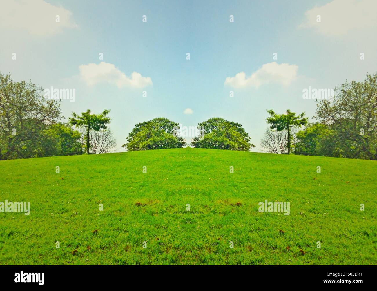 Paysage surréaliste Banque D'Images