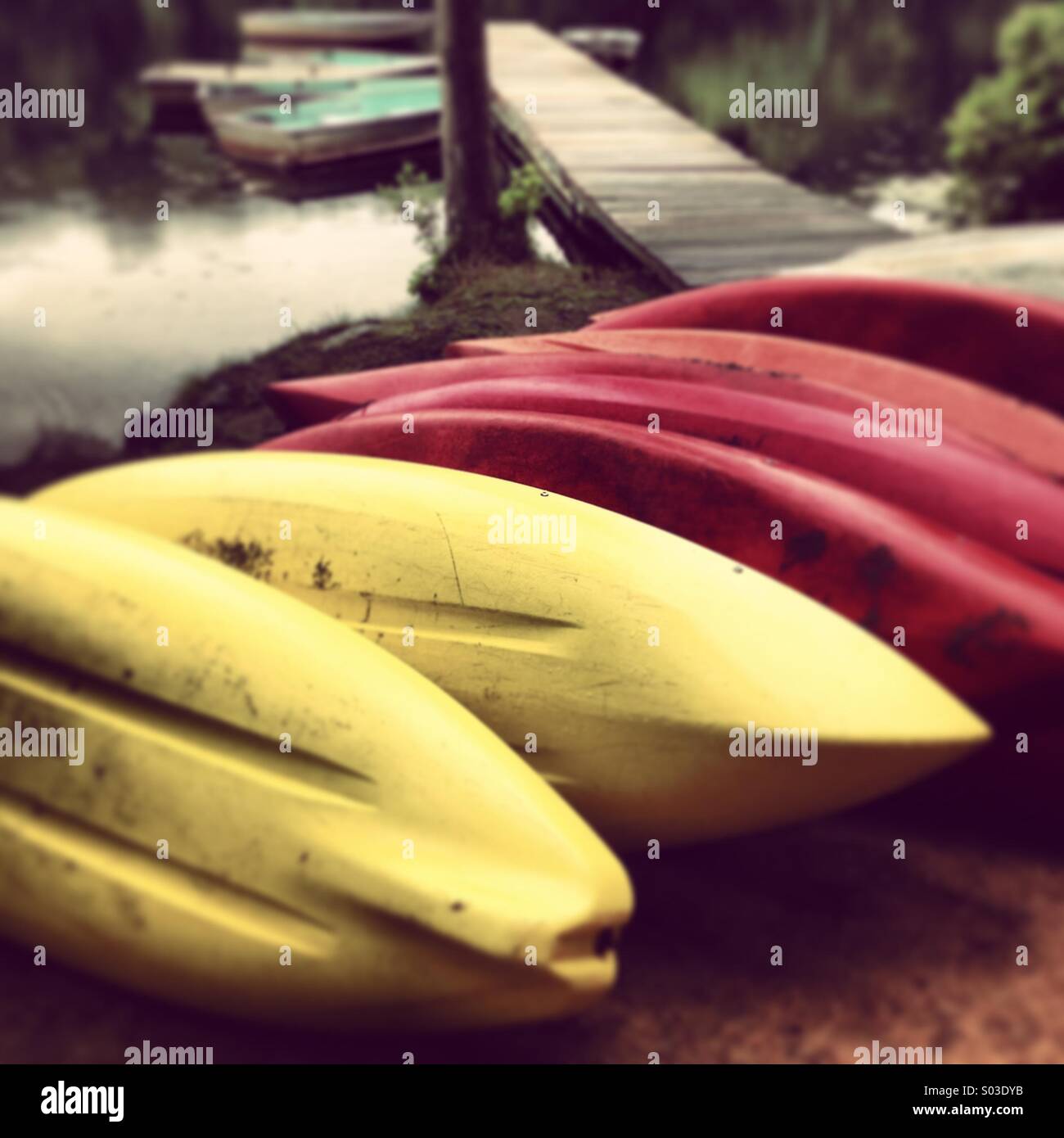 Rangée de canoës au bord du lac Banque D'Images