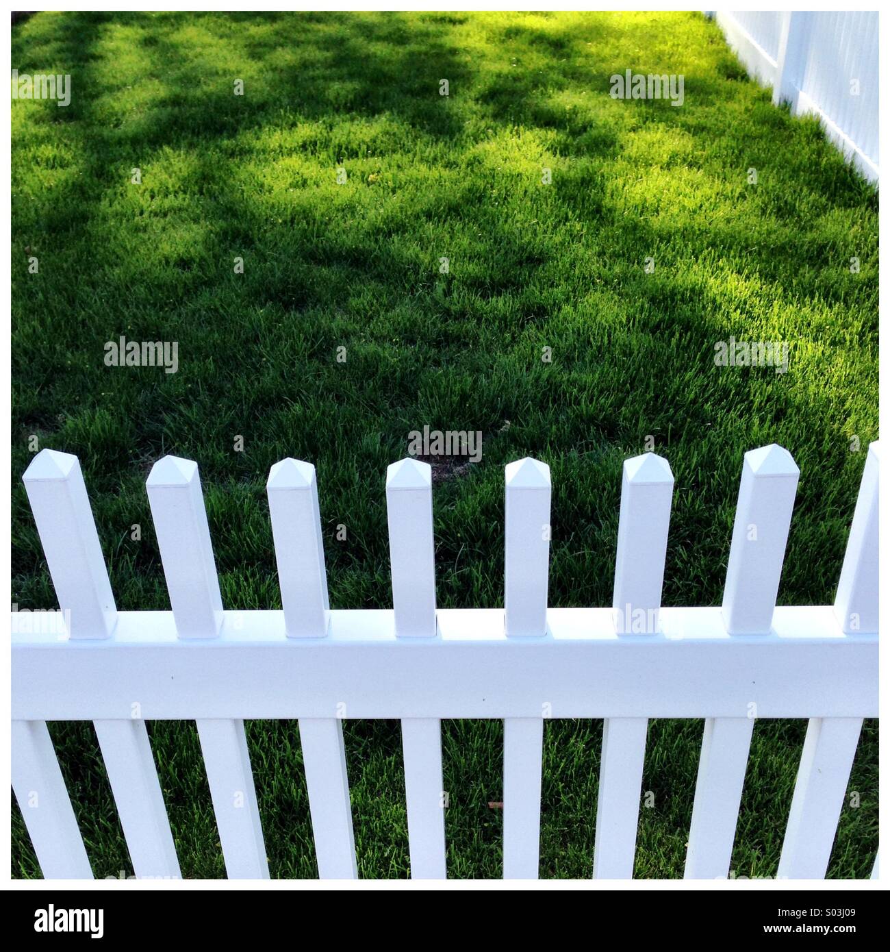 Clôture blanche Banque D'Images