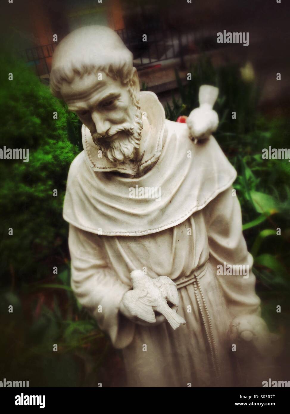 Statue de Saint François d'assise dans le jardin Banque D'Images