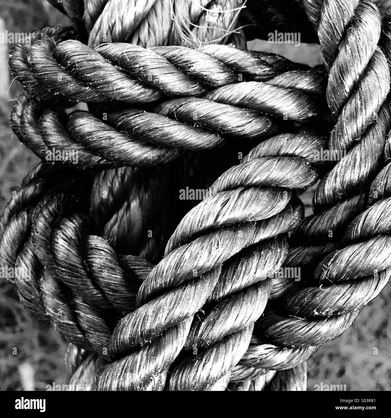 La force forte texture de la corde. Banque D'Images