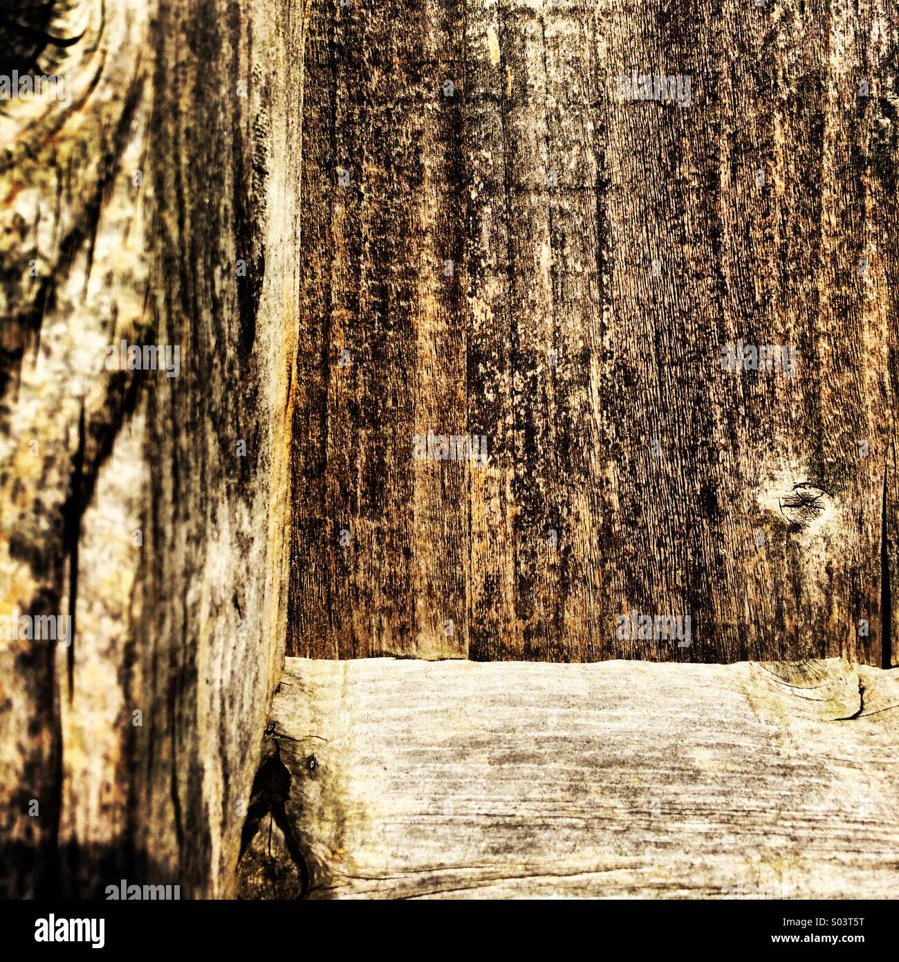 Close-up de grain dans un panneau de clôture en bois. Banque D'Images