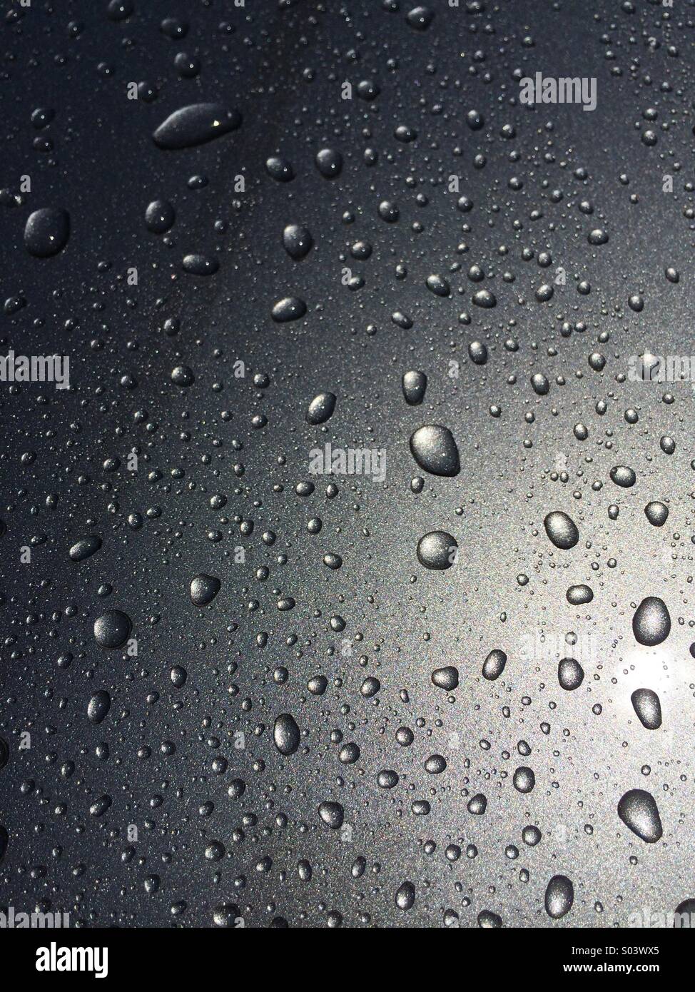 Gouttes d'eau sur une surface en métal argenté Banque D'Images