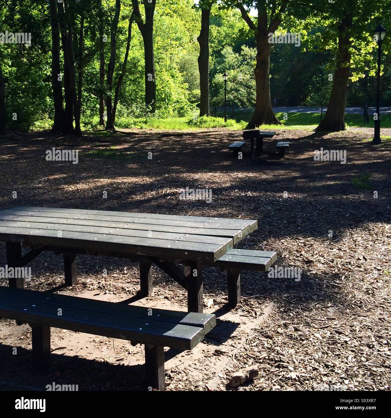 Table de pique-nique à Prospect Park, Brooklyn Banque D'Images