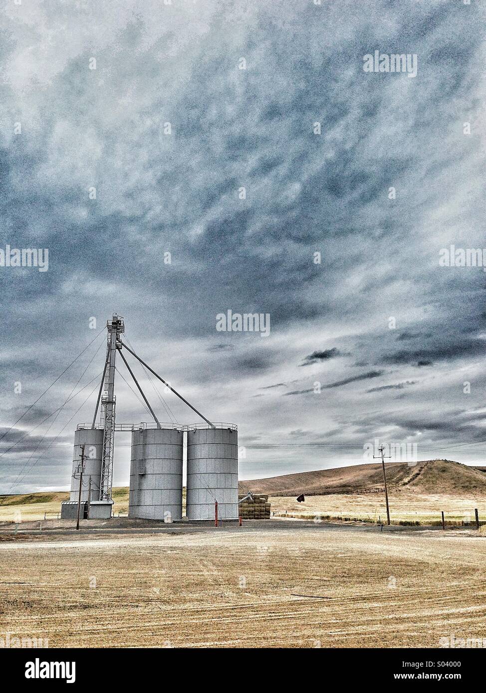 Silos agricoles commerciales Banque D'Images