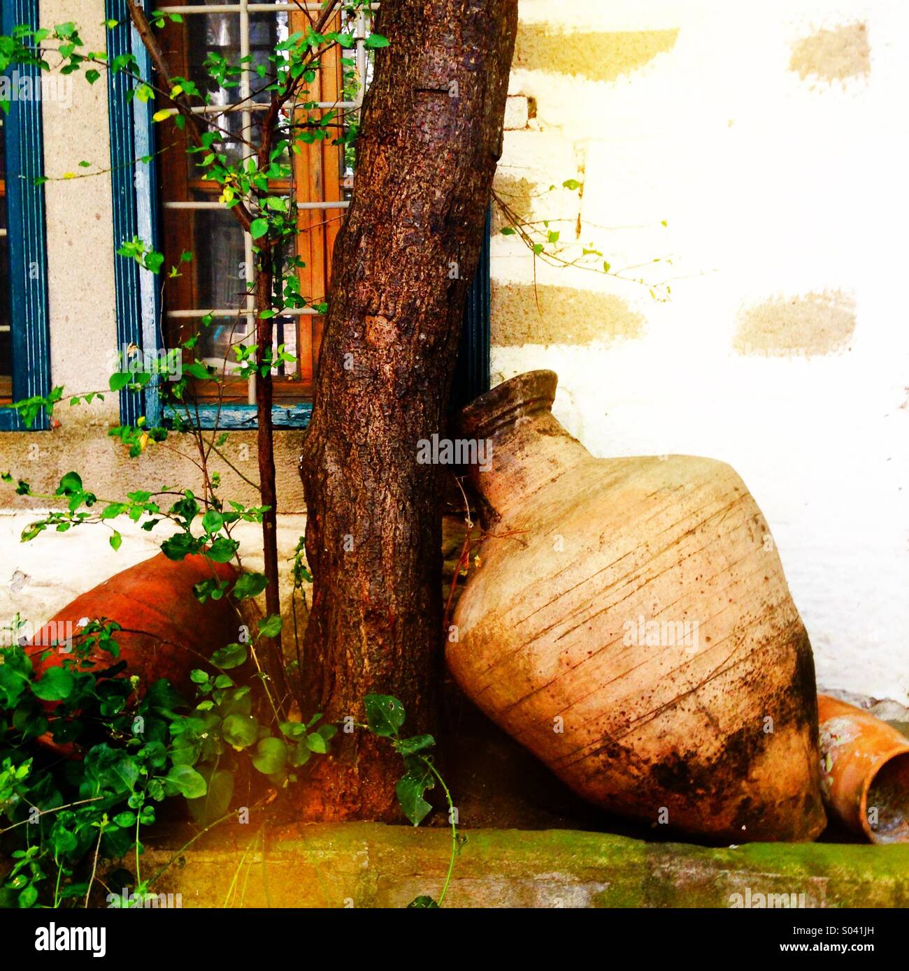 Amphore grec appuyé contre un arbre dans un jardin - Image de stock capturée avec un smartphone