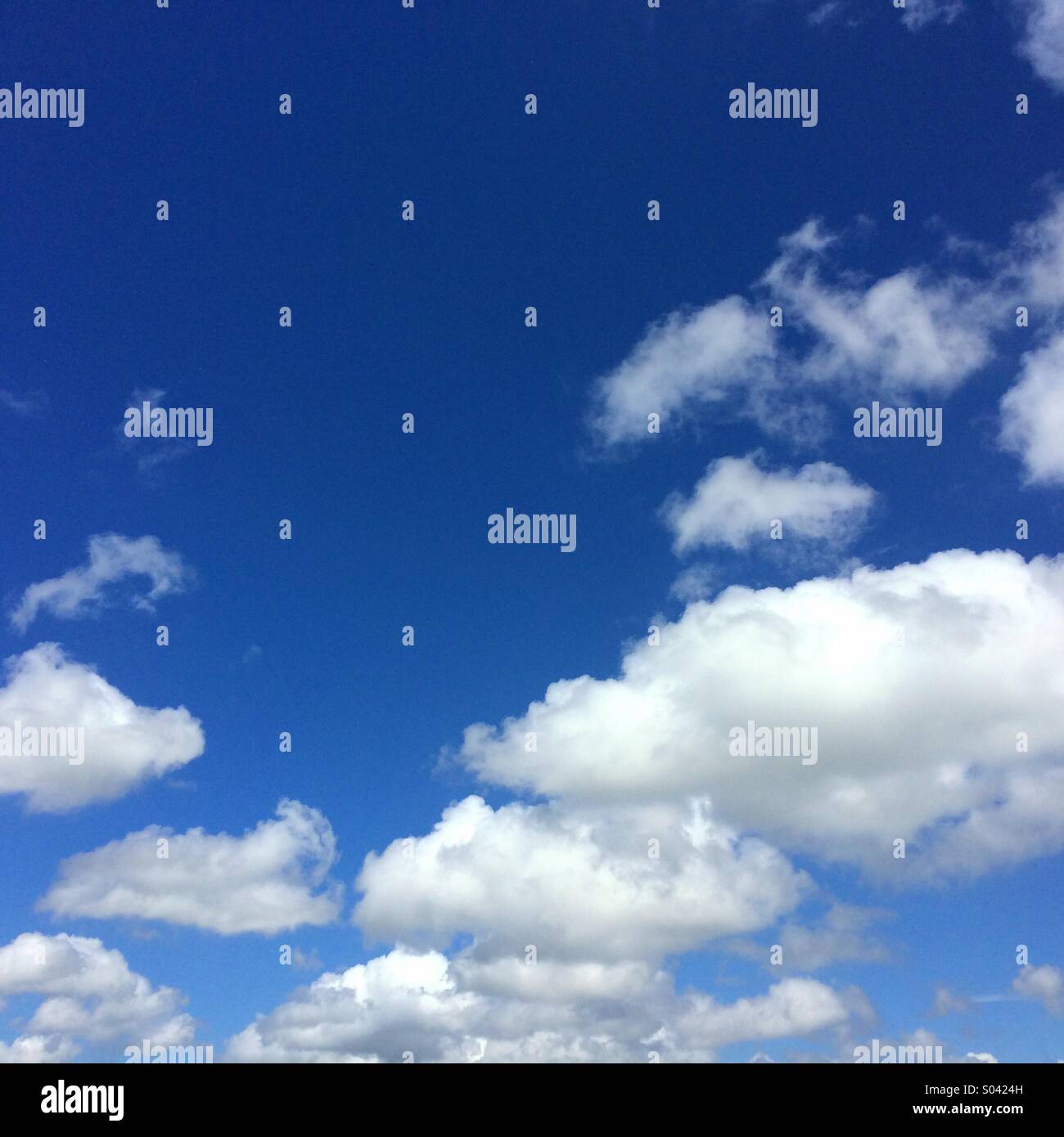 Ciel bleu et nuages blancs moelleux peut être utilisé pour le fond avec l'espace pour le texte Banque D'Images