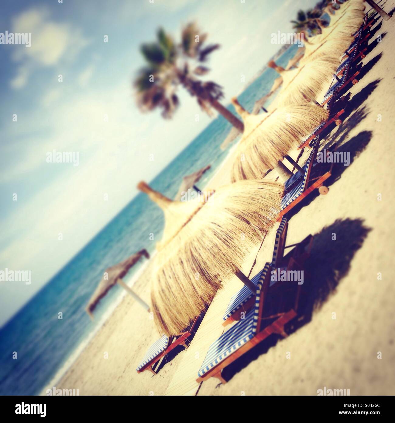 Rangée de lits de plage sur la plage de Marbella Banque D'Images