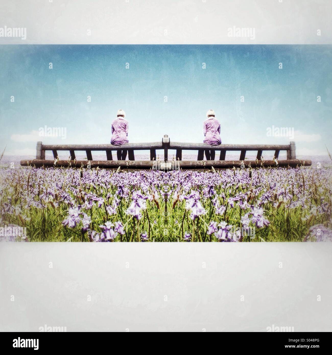 Avec moi et jacinthes Banque D'Images