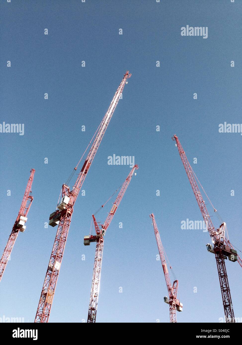 Groupe de grues de construction Banque D'Images