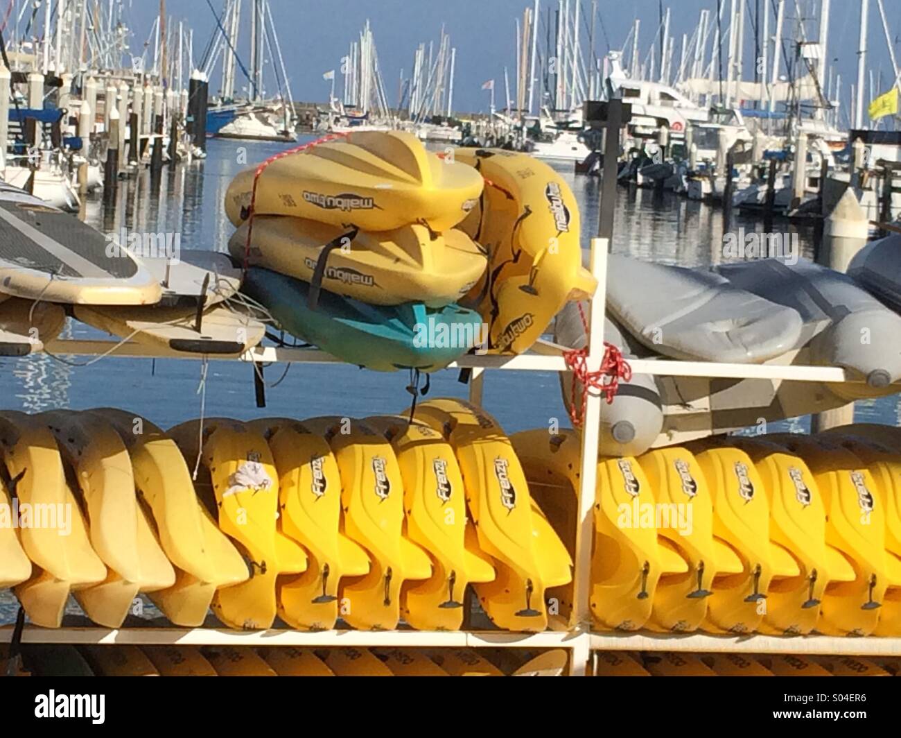 Kayaks à louer à Santa Barbara, Californie Banque D'Images
