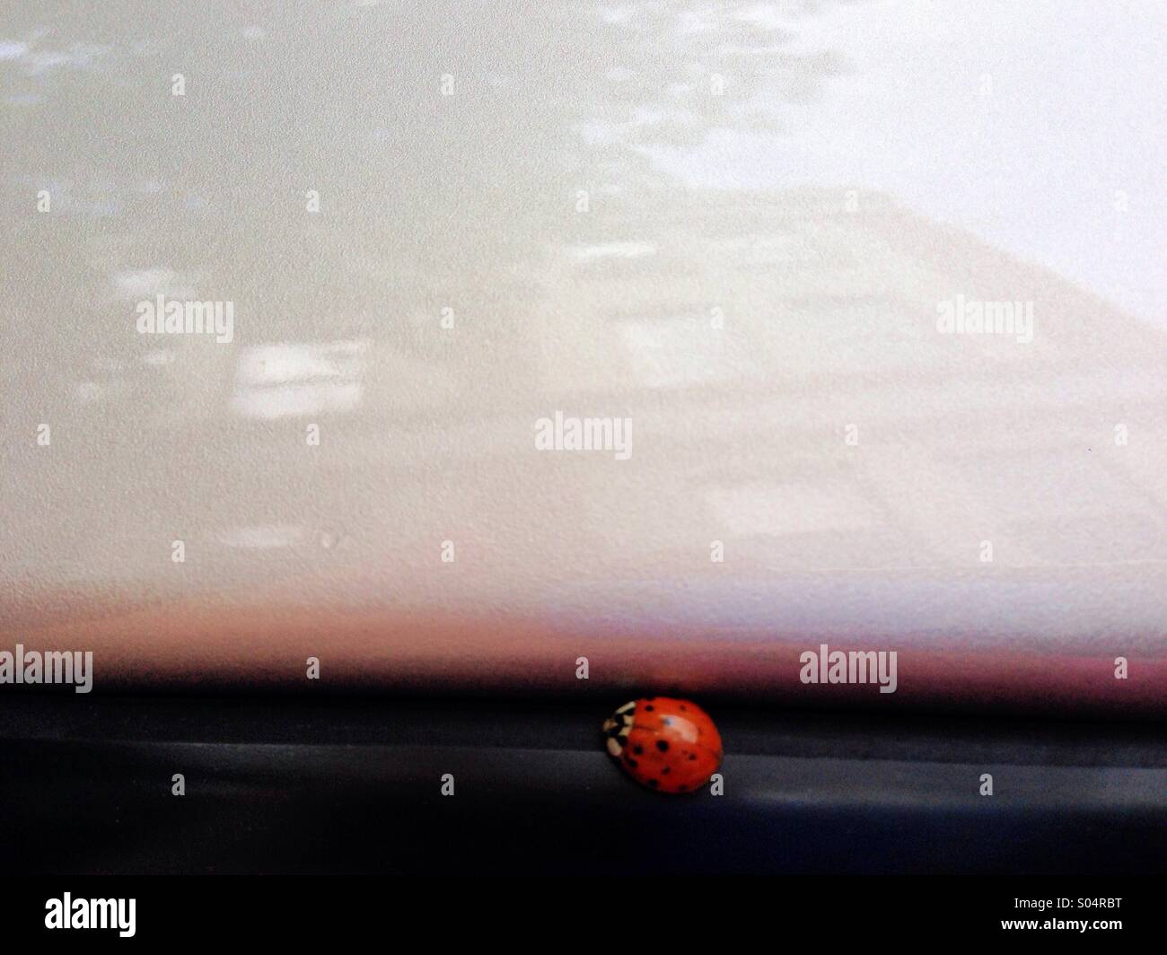 Un bâtiment se reflète dans une voiture au-dessus du toit une coccinelle posée sur le joint de porte. Banque D'Images