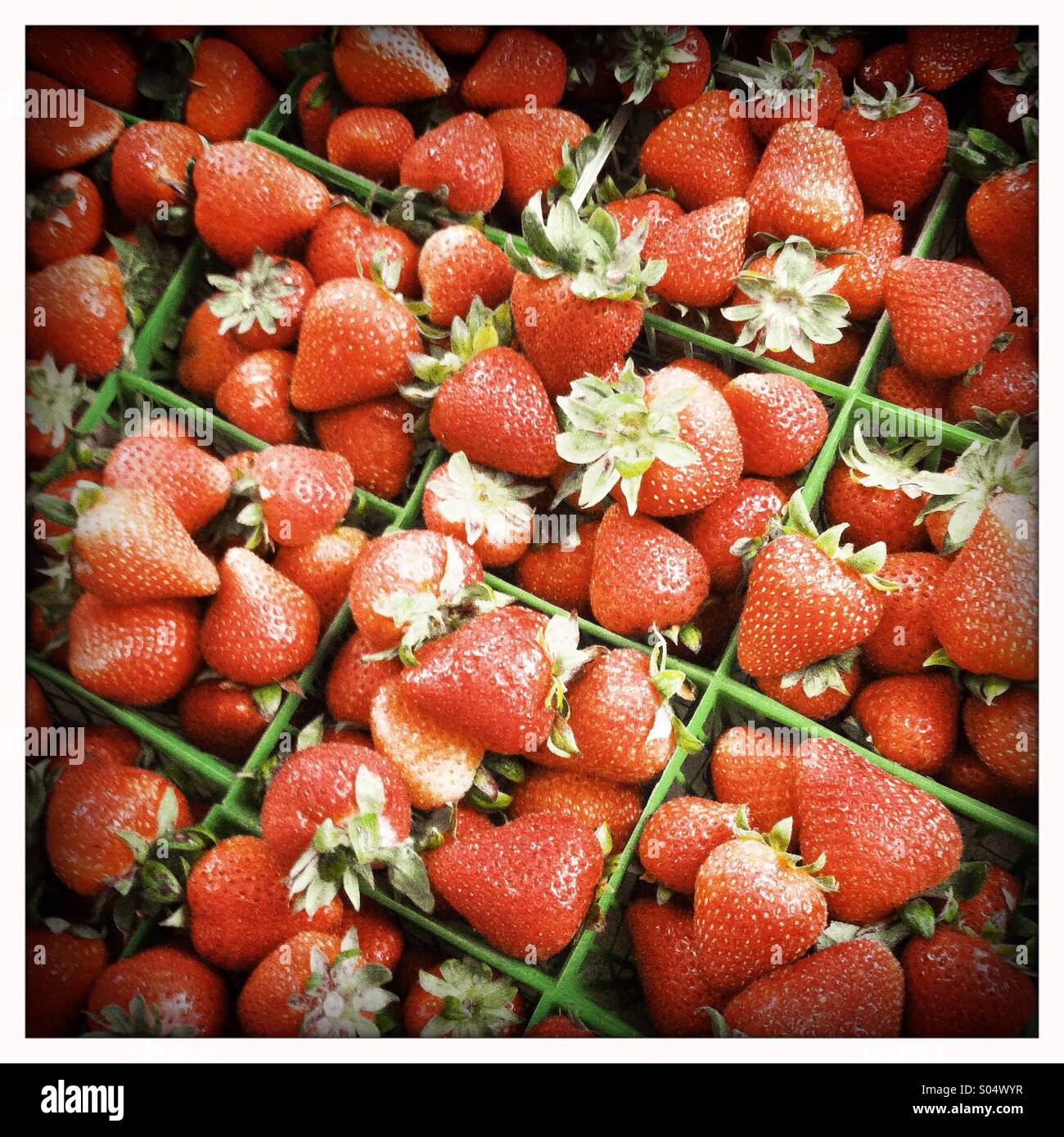 Petits paniers de fraises à un marché de producteurs Banque D'Images
