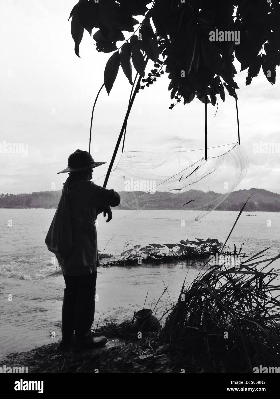 La pêche dans les champs inondés, Thaïlande Banque D'Images