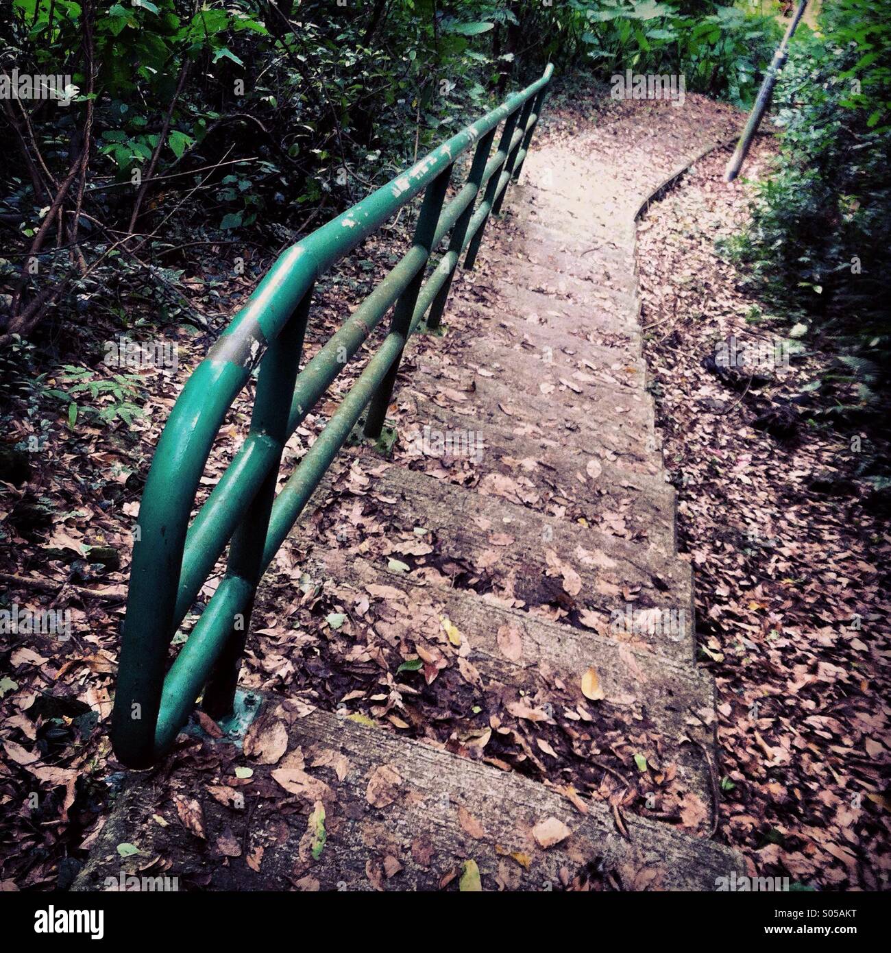 C'est une photo d'un sentier piétonnier ou d'aller vers le bas. Il y a des feuilles mortes sur les étapes - Image de stock capturée avec un smartphone