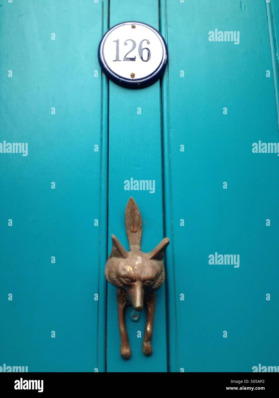 Fox heurtoir sur une porte bleue, numéro 126 Banque D'Images