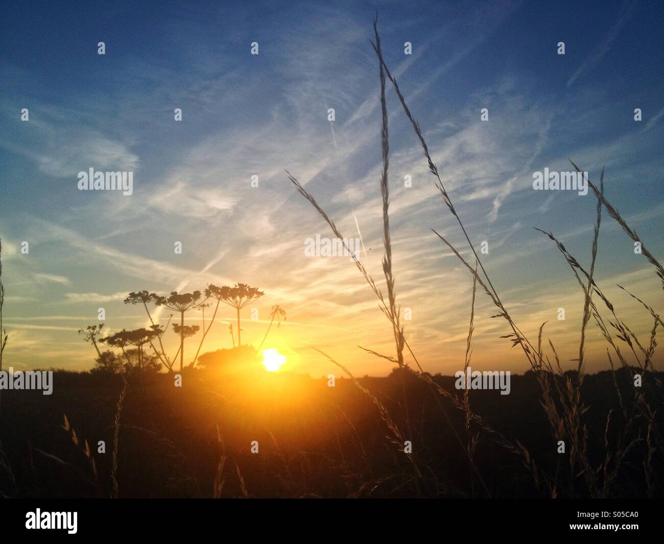 Coucher de soleil sur le domaine Banque D'Images