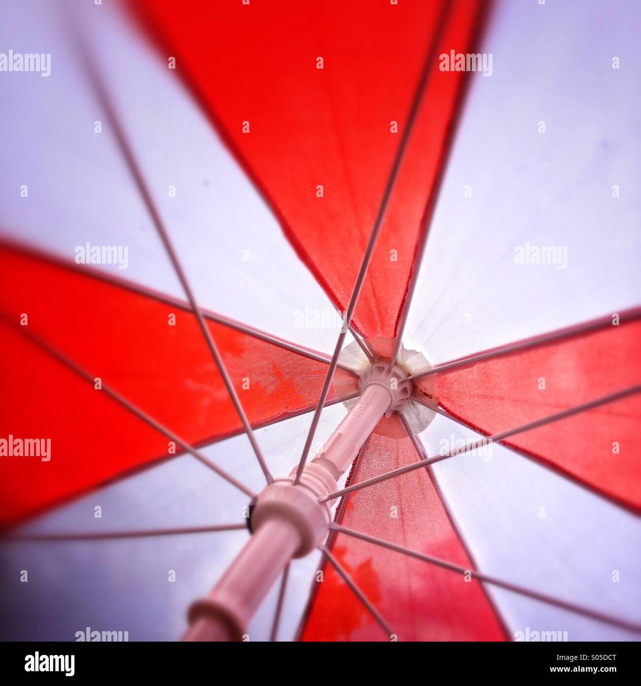 Parapluie blanc et rouge Banque D'Images