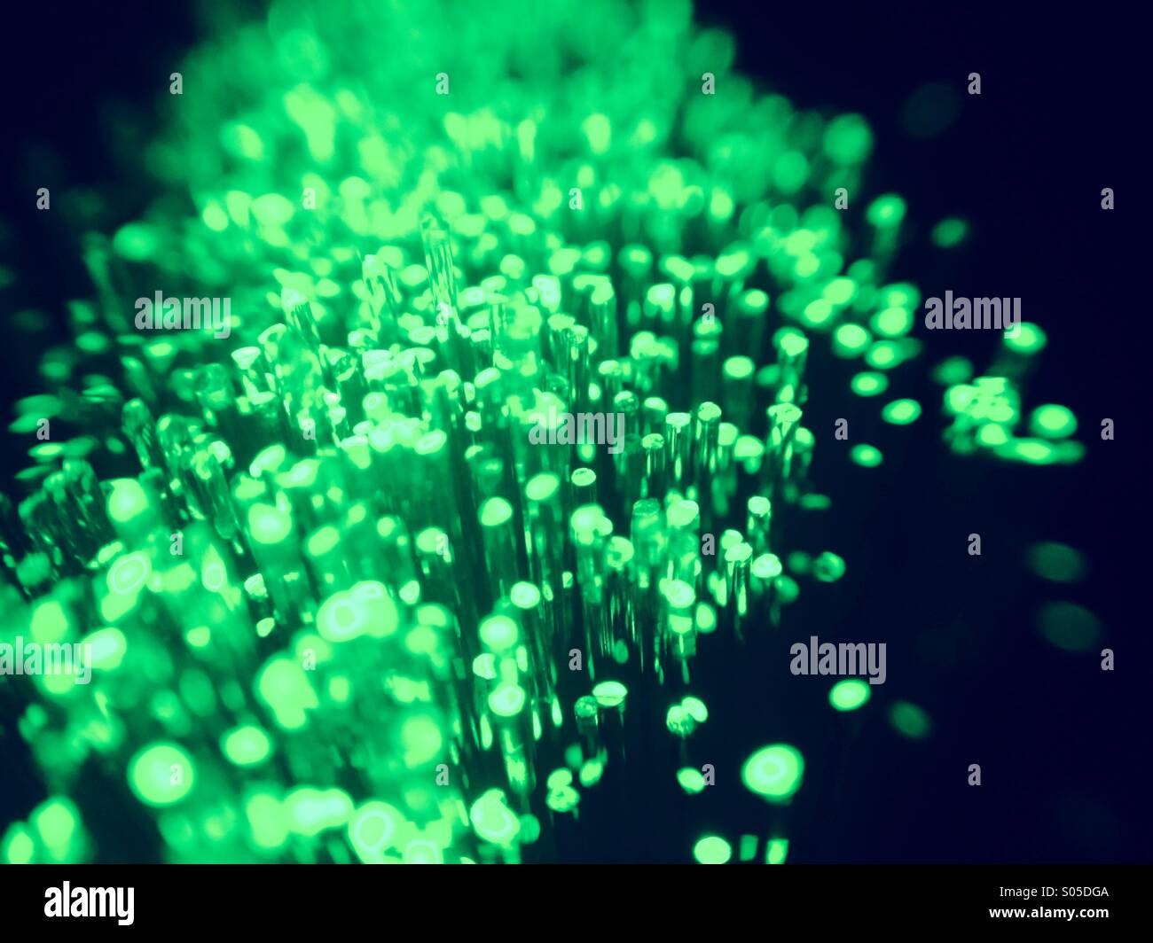 Brins de fibre optique émettant une lumière verte Banque D'Images Brins de fibre optique émettant une lumière verte Banque D'Images