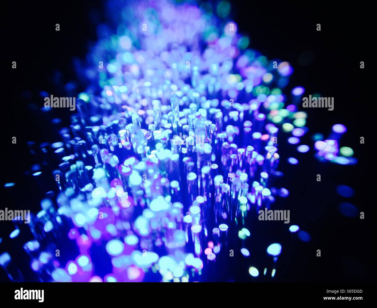 Brins de fibre optique émettant une lumière bleue Banque D'Images