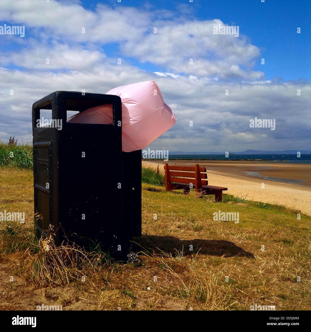 Sac poubelle rose Banque de photographies et d'images à haute résolution -  Alamy