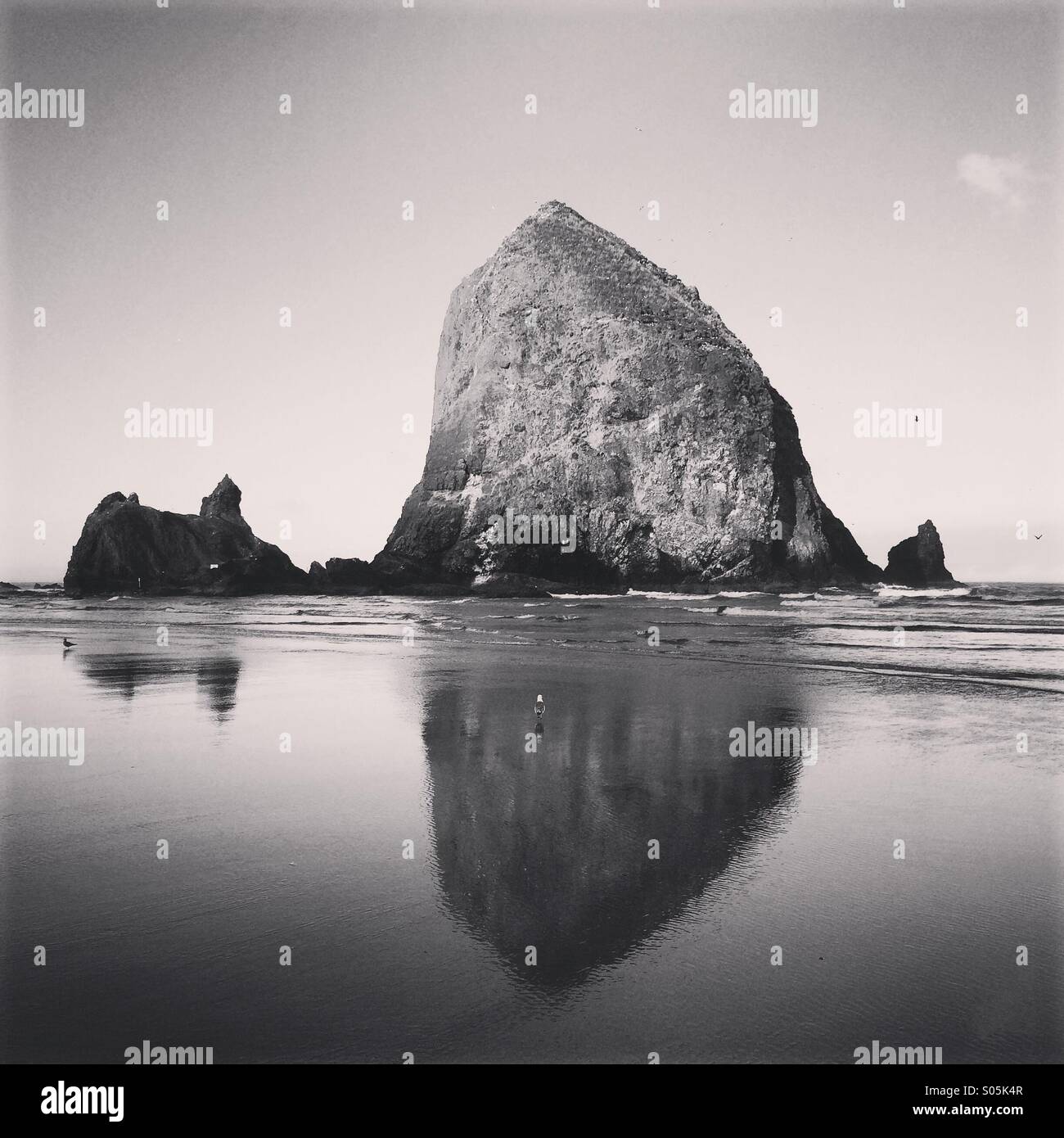 L'aube, Haystack Rock, Cannon Beach, Oregon coast Banque D'Images