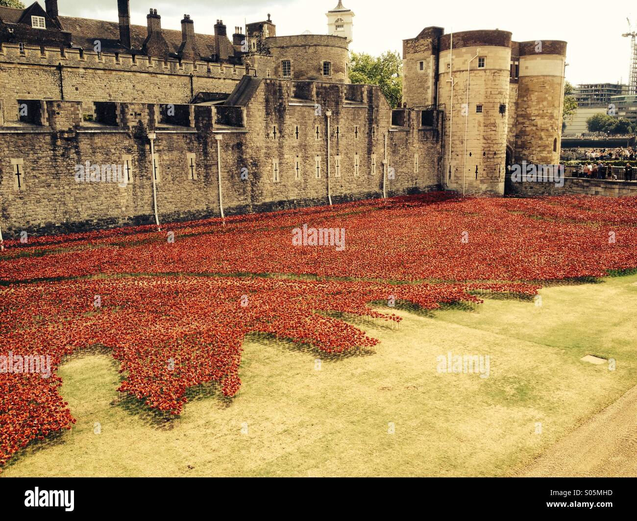 100 ans après le début de la Première Guerre mondiale, les coquelicots sont disposées autour de la Tour de Londres Banque D'Images