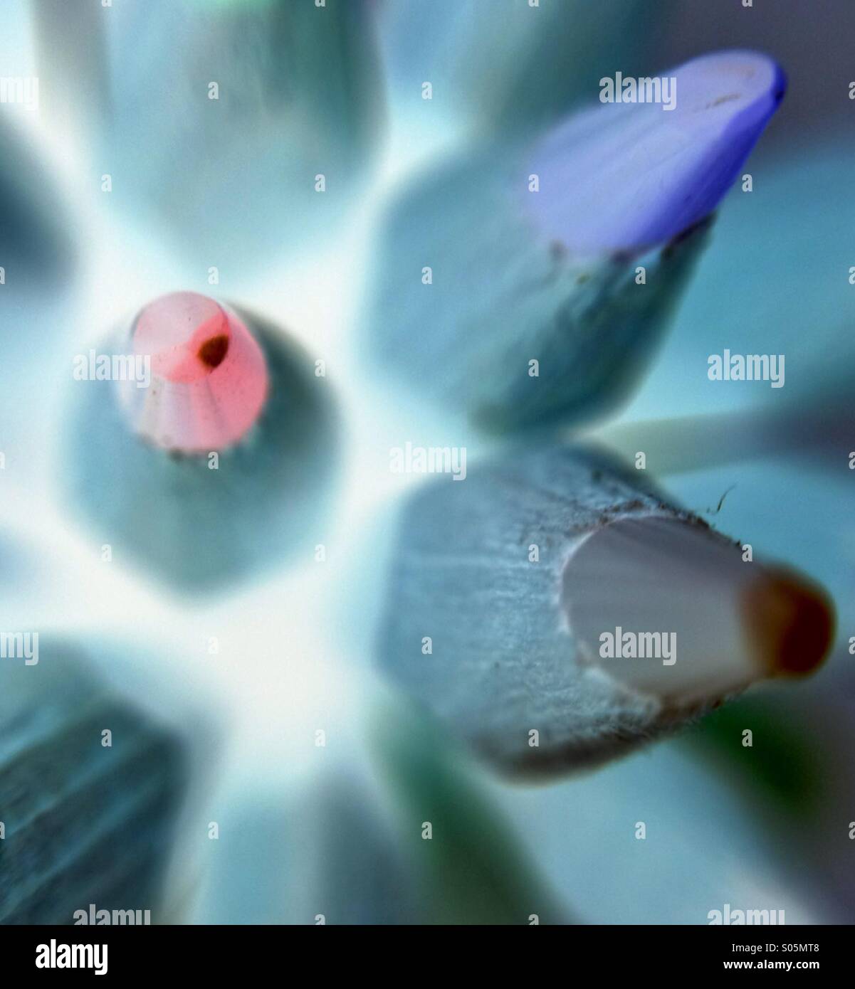 Résumé photo de crayons de couleur - Image de stock capturée avec un smartphone