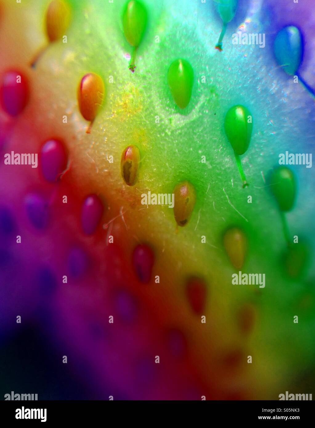 Résumé photo d'une fraise mûre avec effet arc-en-ciel Banque D'Images