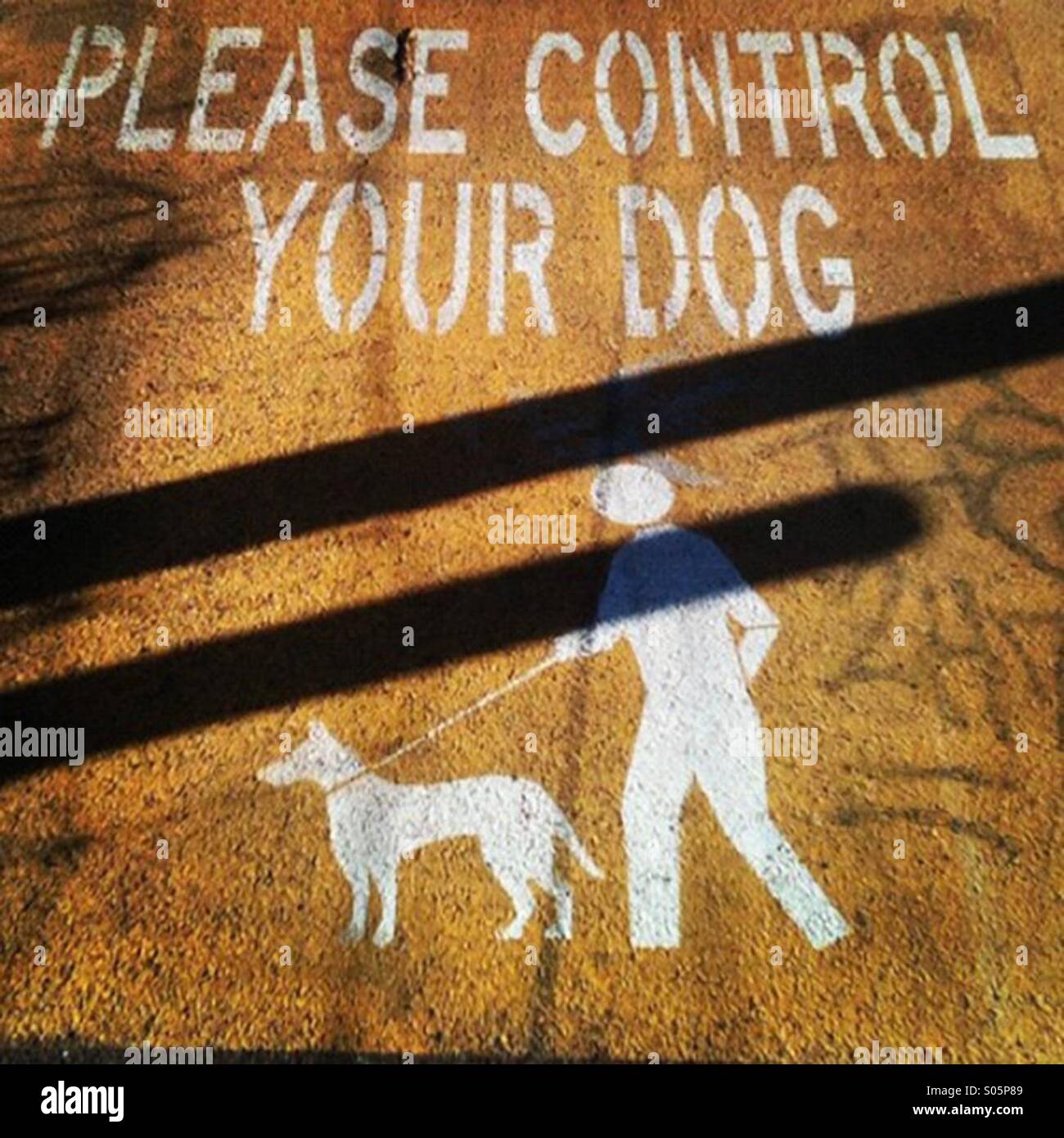 Veuillez contrôler l'affichage de votre chien Banque D'Images