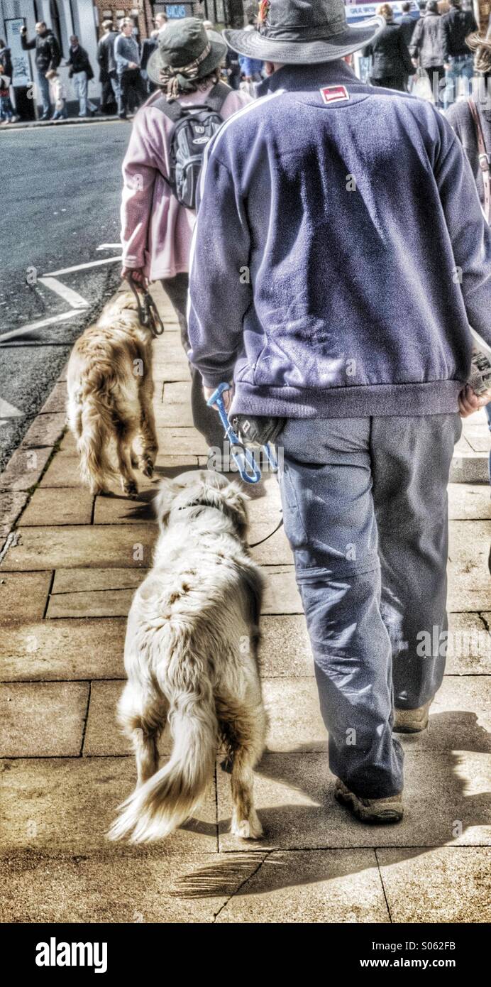 Un couple se balade le long d'une rue avec deux chiens correspondant Banque D'Images