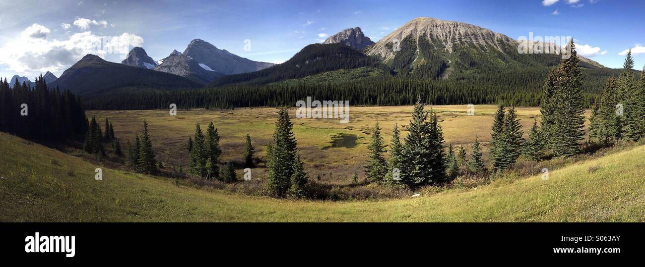 Panorama de Moose Meadows à côté piste, en Smith-Dorrien de Kananaskis, en Alberta. Banque D'Images