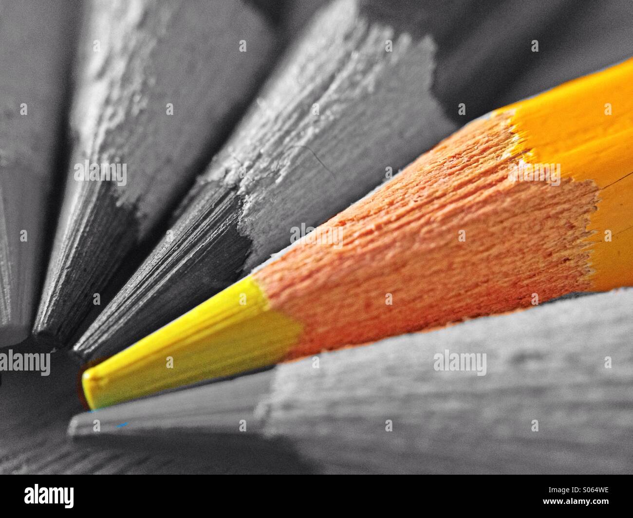 Crayons de couleur - Image de stock capturée avec un smartphone