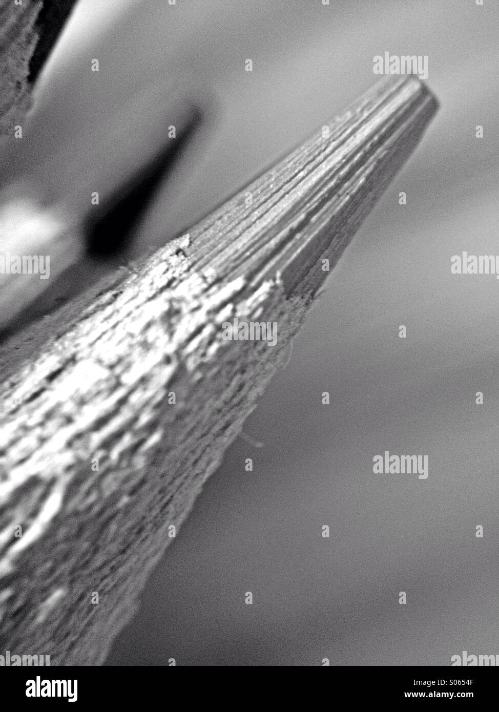 Crayons de couleur - Image de stock capturée avec un smartphone