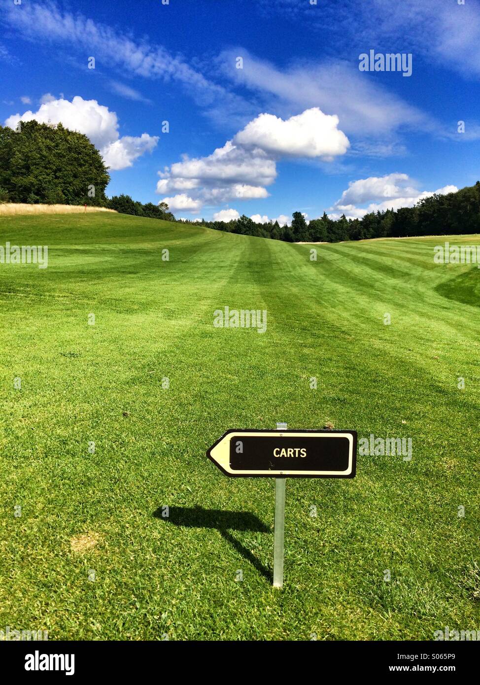 Vide sur un terrain de golf en été. - Image de stock capturée avec un smartphone