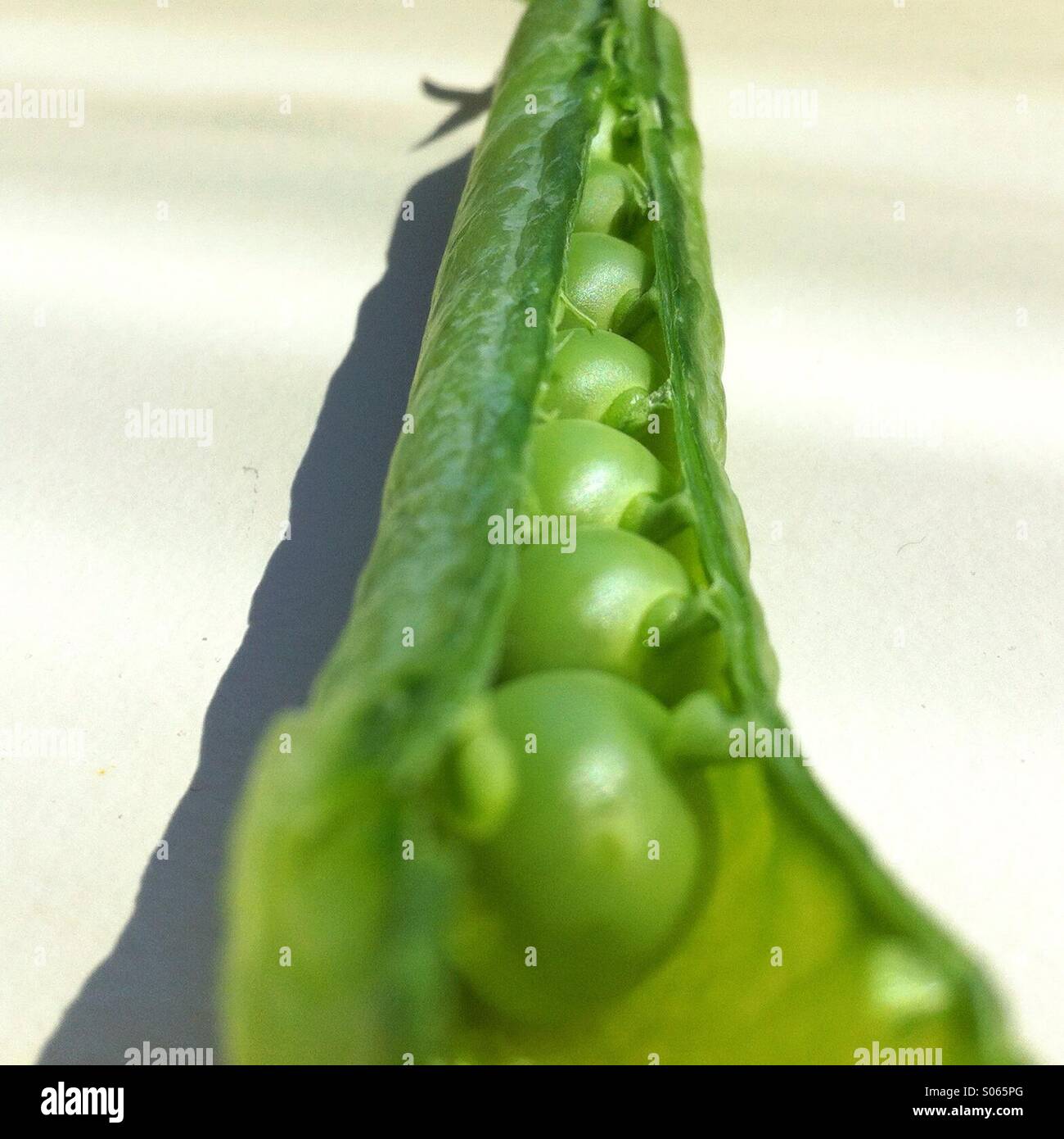 Petits Pois En Cosse Banque d'image et photos - Alamy