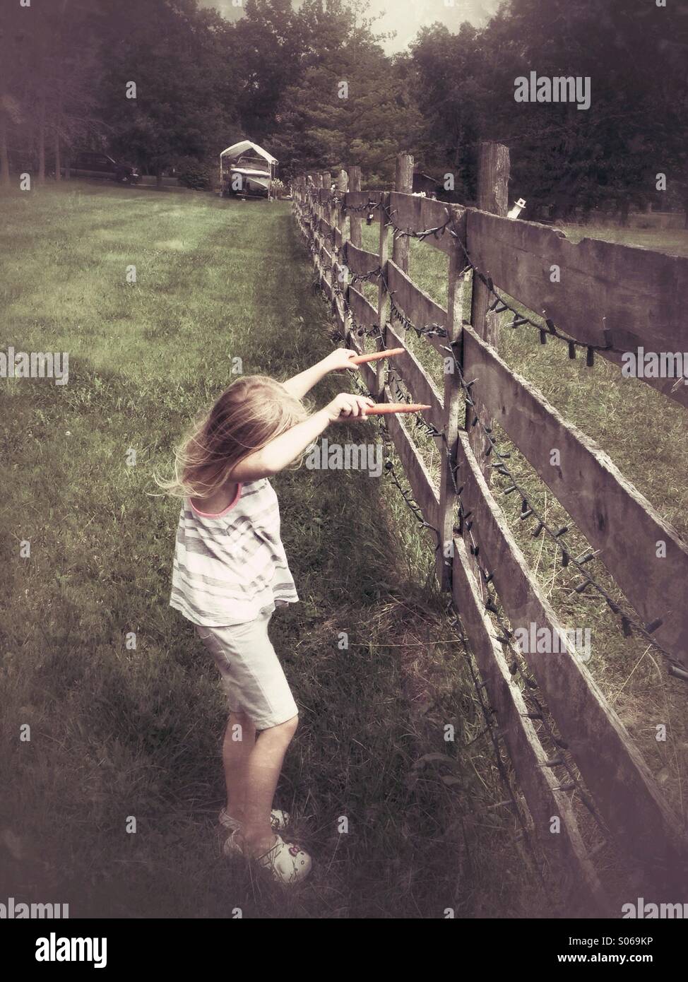 Horsey ici ! Banque D'Images